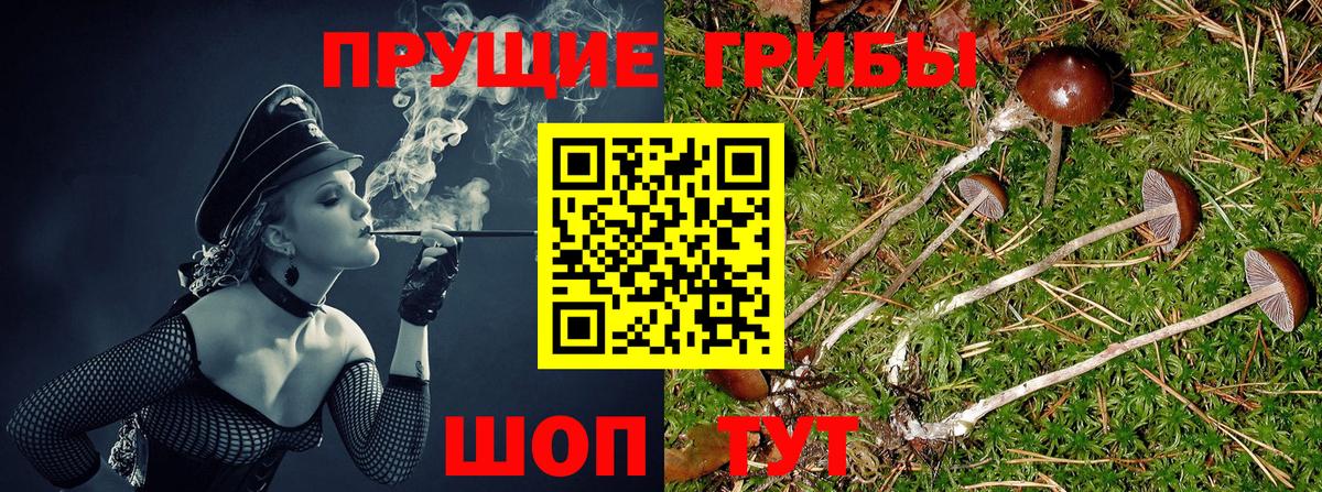 Галлюциногенные грибы ЛСД  Вход с VPN  Галлюциногенные грибы ЛСД  Шелехов 